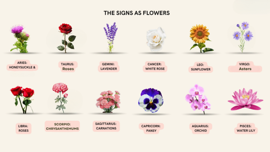 Zodiac Chart depicting the flowers - Space Ideas World Horoscope Flower